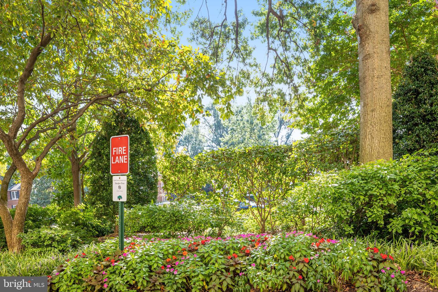 4141 N HENDERSON RD #313, ARLINGTON, Virginia 22203, 1 Bedroom Bedrooms, ,1 BathroomBathrooms,Residential,For sale,4141 N HENDERSON RD #313,VAAR2064534 MLS # VAAR2064534