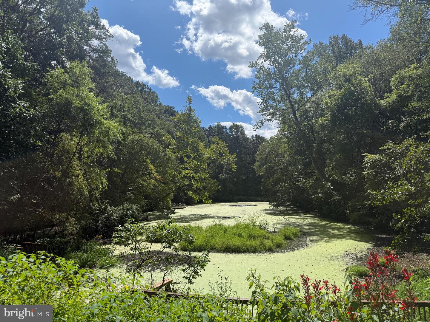 6410 WYNGATE DR, SPRINGFIELD, Virginia 22152, 6 Bedrooms Bedrooms, 15 Rooms Rooms,3 BathroomsBathrooms,Residential,For sale,6410 WYNGATE DR,VAFX2272872 MLS # VAFX2272872