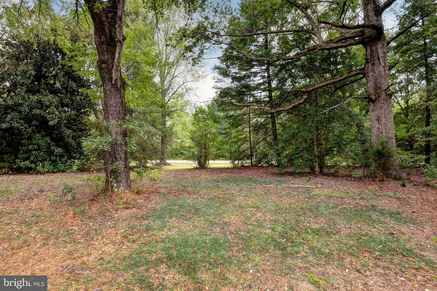 6049 TIDEWATER TRL, CHAMPLAIN, Virginia 22438, 4 Bedrooms Bedrooms, 14 Rooms Rooms,2 BathroomsBathrooms,Residential,For sale,6049 TIDEWATER TRL,VAES2002044 MLS # VAES2002044