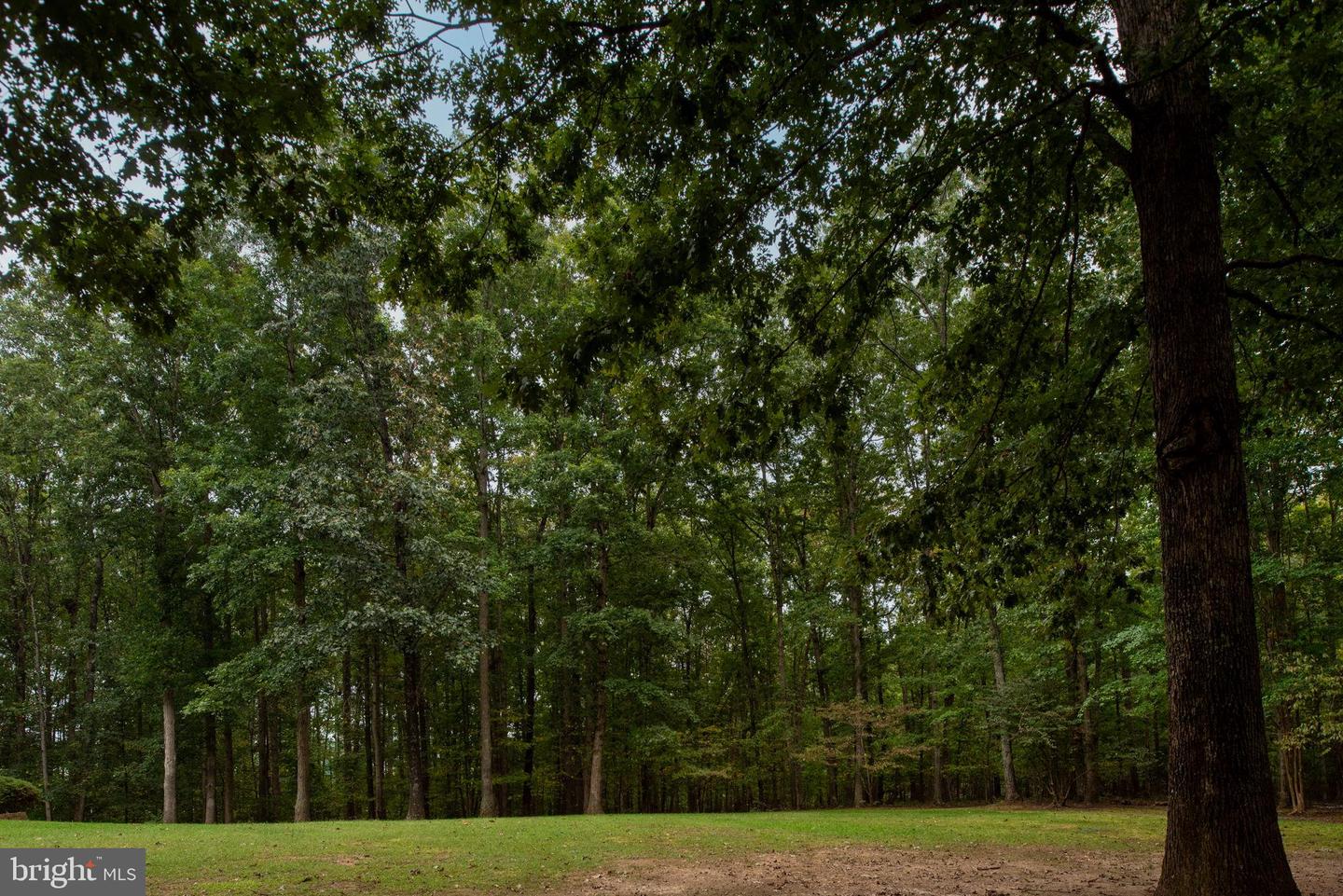 32236 DEEP MEADOW LN, LOCUST GROVE, Virginia 22508, 5 Bedrooms Bedrooms, 22 Rooms Rooms,3 BathroomsBathrooms,Residential,For sale,32236 DEEP MEADOW LN,VAOR2012486 MLS # VAOR2012486