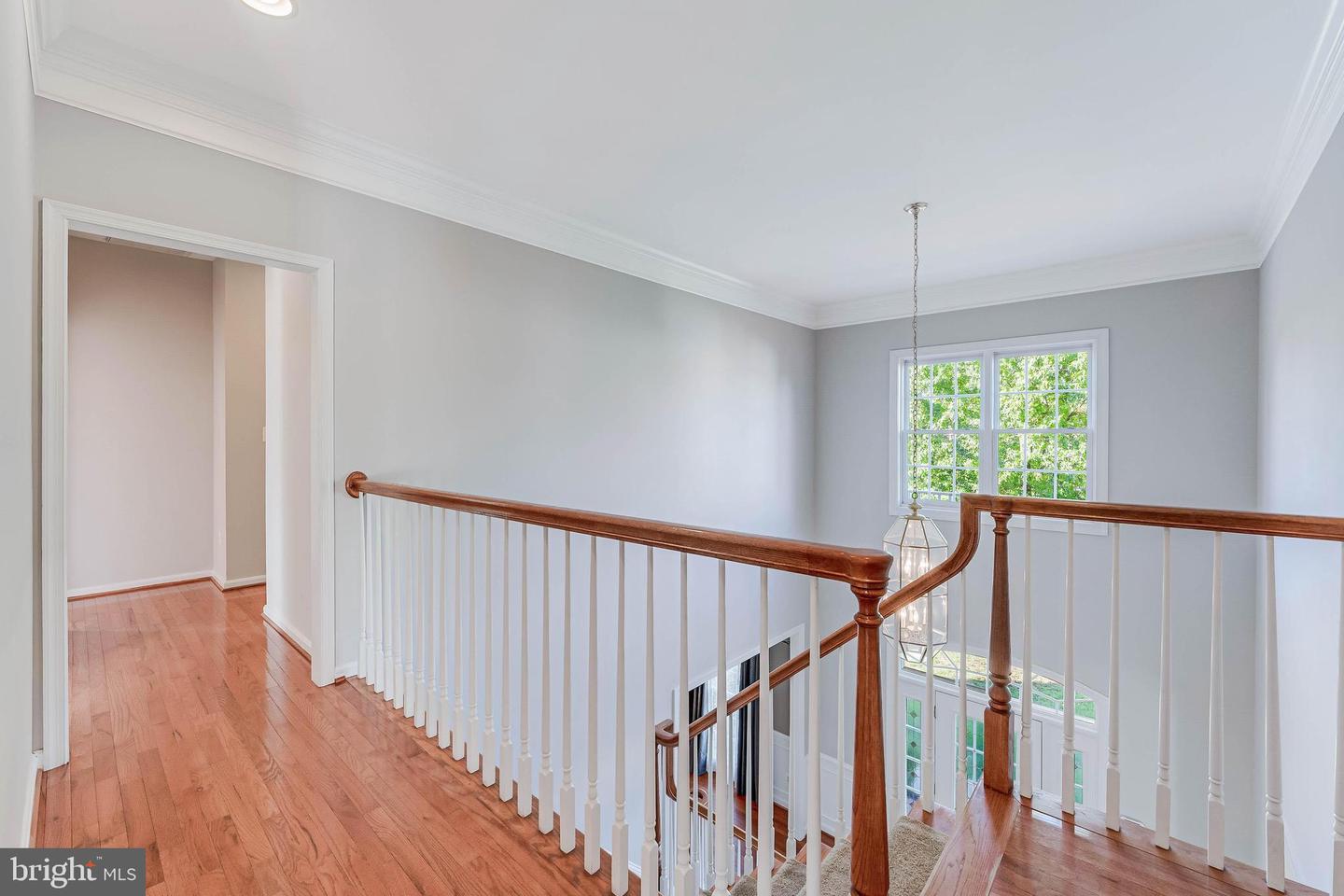 43067 WATERS OVERLOOK CT, LEESBURG, Virginia 20176, 5 Bedrooms Bedrooms, ,4 BathroomsBathrooms,Residential,For sale,43067 WATERS OVERLOOK CT,VALO2108344 MLS # VALO2108344