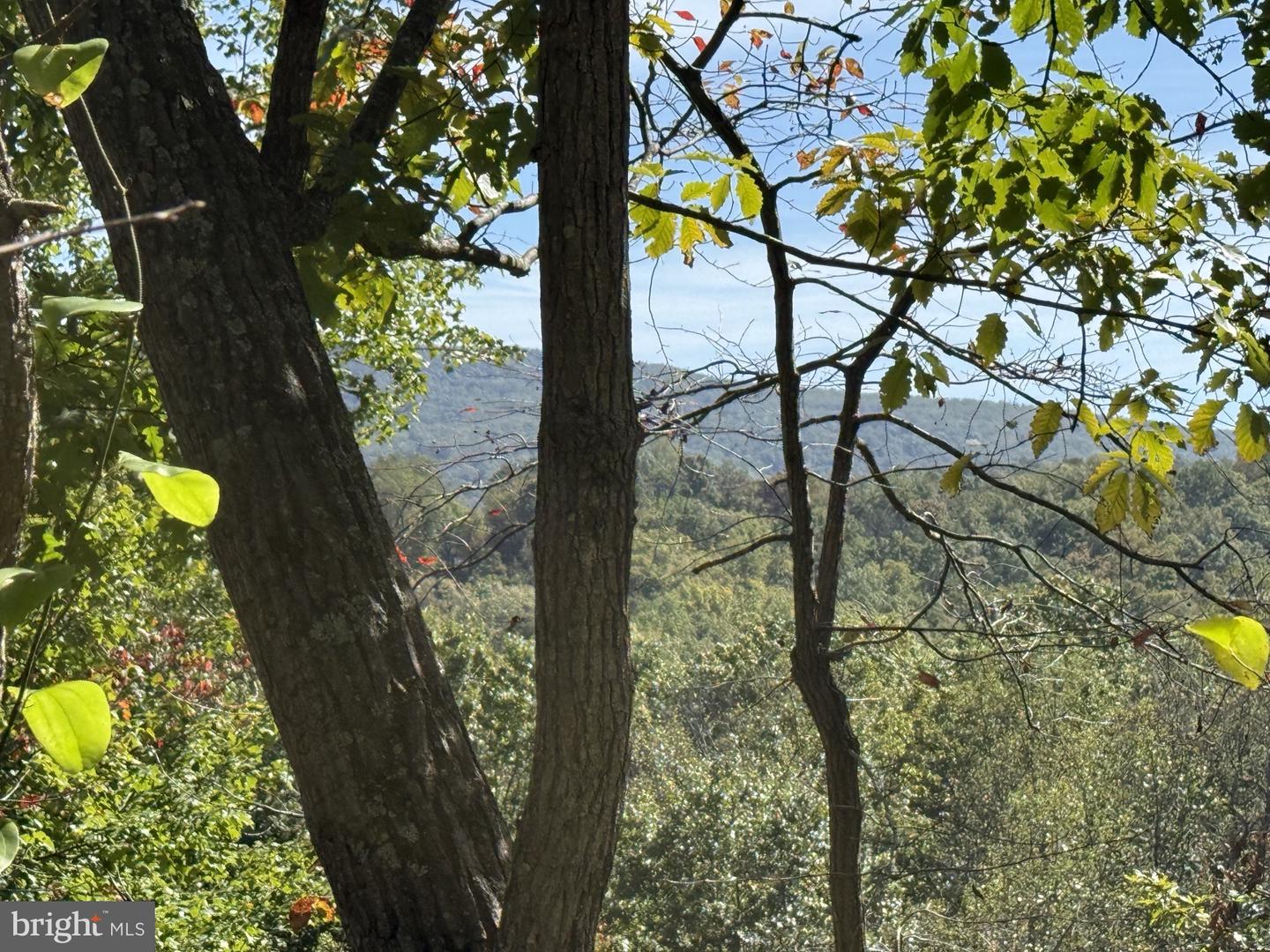 LOT 59 OLD OREGON RD, FRONT ROYAL, Virginia 22630, 3 Bedrooms Bedrooms, ,2 BathroomsBathrooms,Residential,For sale,LOT 59 OLD OREGON RD,VAWR2012506 MLS # VAWR2012506