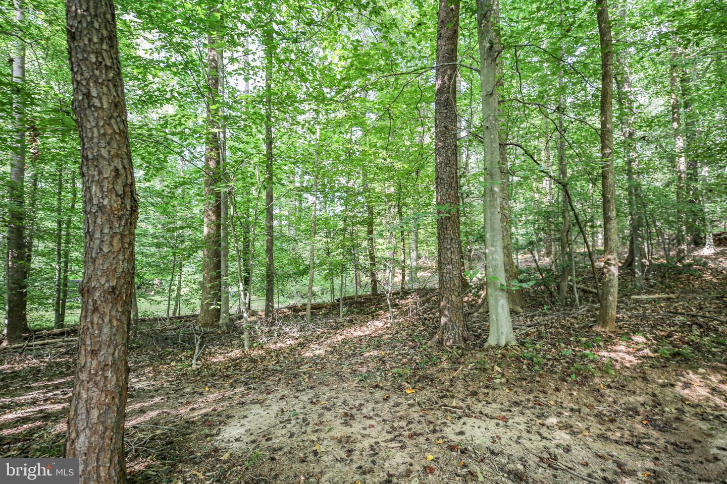 10108 WILLOW RIDGE LN, SPOTSYLVANIA, Virginia 22553, 4 Bedrooms Bedrooms, ,4 BathroomsBathrooms,Residential,For sale,10108 WILLOW RIDGE LN,VASP2035594 MLS # VASP2035594