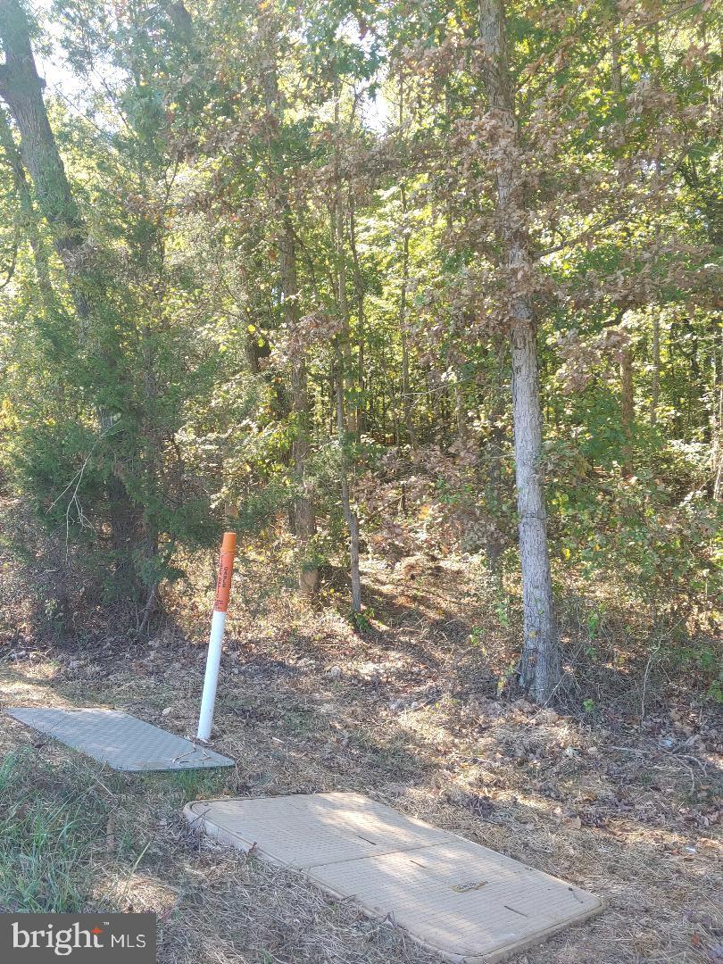 33-51C ZACHARY TAYLOR HWY, UNIONVILLE, Virginia 22567, ,Land,For sale,33-51C ZACHARY TAYLOR HWY,VAOR2012488 MLS # VAOR2012488