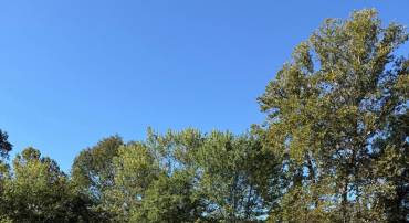 LOT 14 MISTY MEADOW LN, BENTONVILLE, Virginia 22610, ,Land,For sale,LOT 14 MISTY MEADOW LN,VAWR2012512 MLS # VAWR2012512
