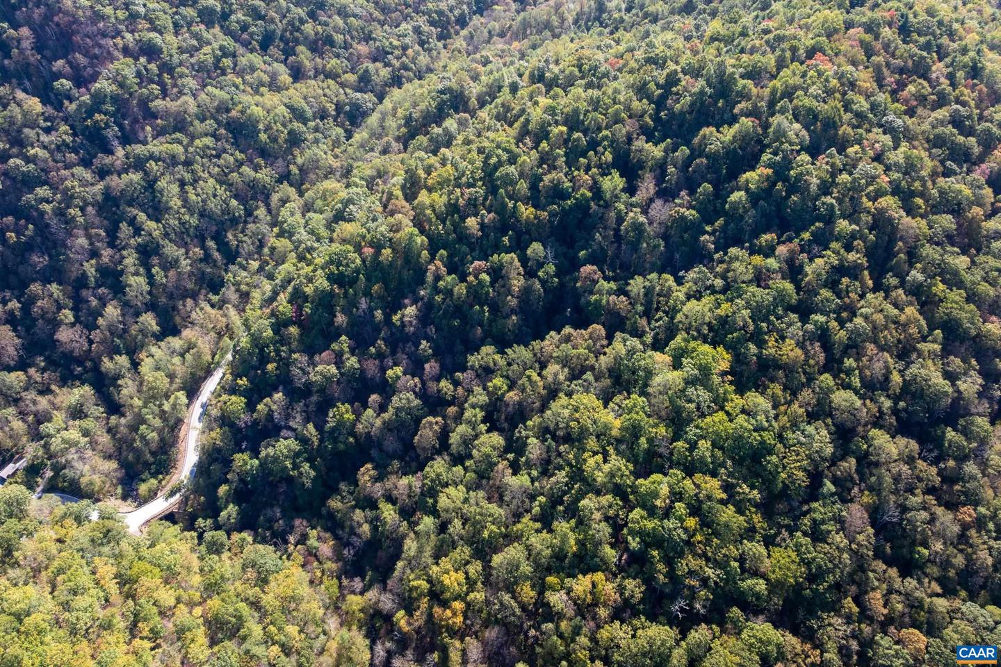13630 CRABTREE FALLS HWY #5, TYRO, Virginia 22976, ,Land,For sale,13630 CRABTREE FALLS HWY #5,669735 MLS # 669735