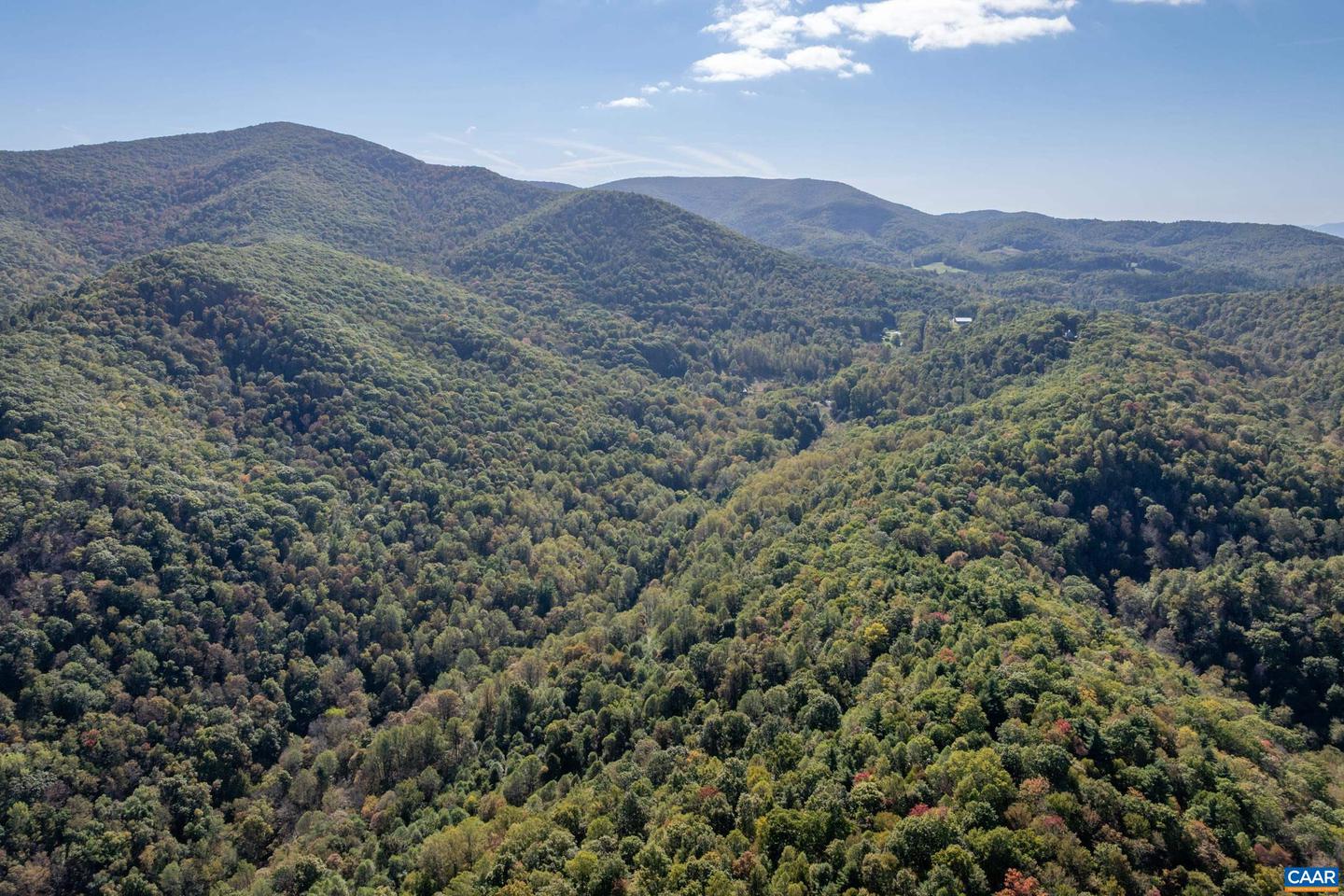 13630 CRABTREE FALLS HWY #5, TYRO, Virginia 22976, ,Land,For sale,13630 CRABTREE FALLS HWY #5,669735 MLS # 669735