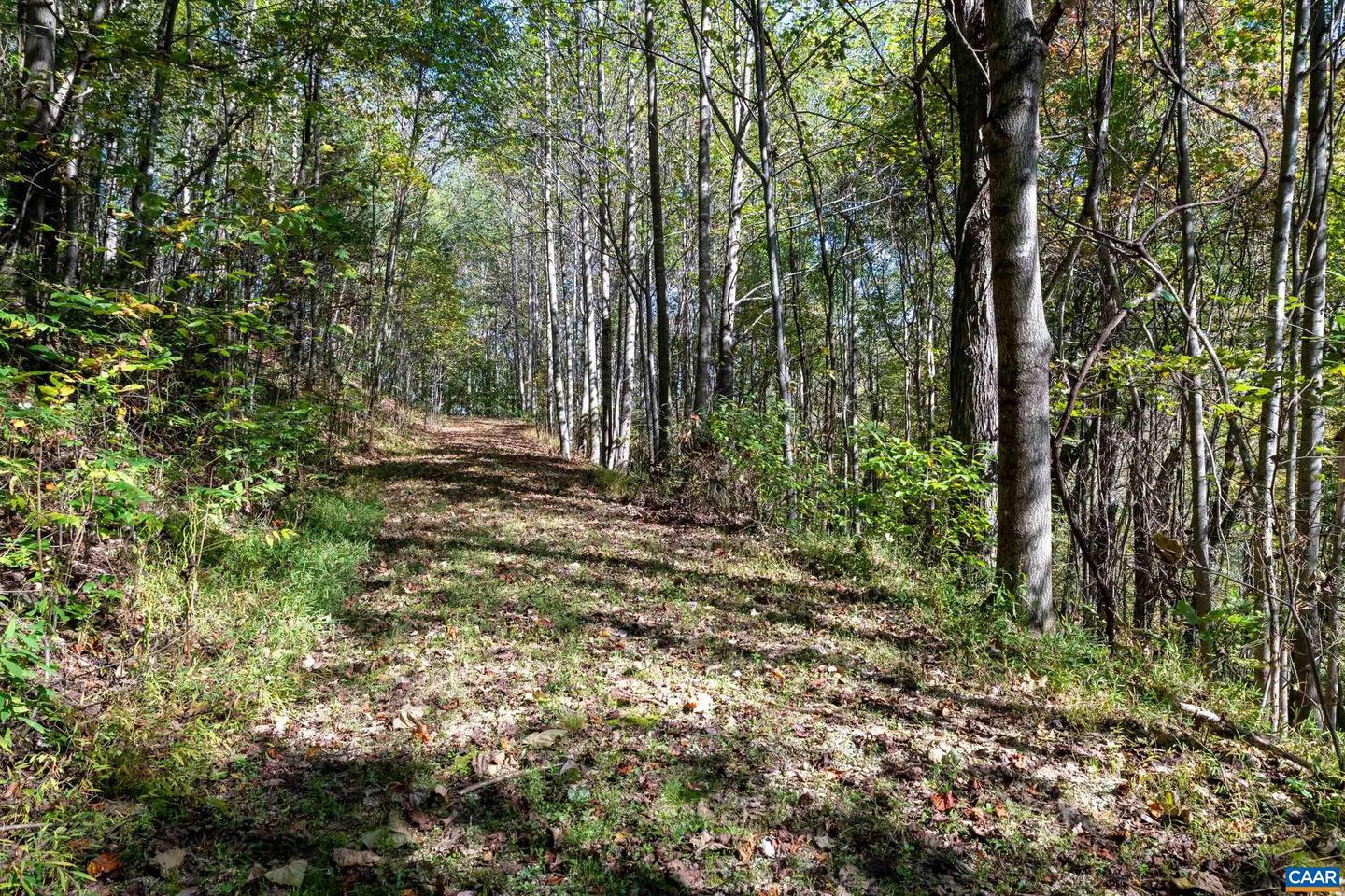 13630 CRABTREE FALLS HWY #5, TYRO, Virginia 22976, ,Land,For sale,13630 CRABTREE FALLS HWY #5,669735 MLS # 669735
