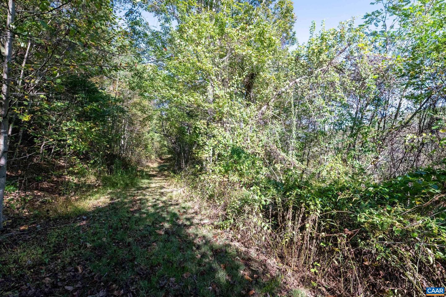 13630 CRABTREE FALLS HWY #5, TYRO, Virginia 22976, ,Land,For sale,13630 CRABTREE FALLS HWY #5,669735 MLS # 669735