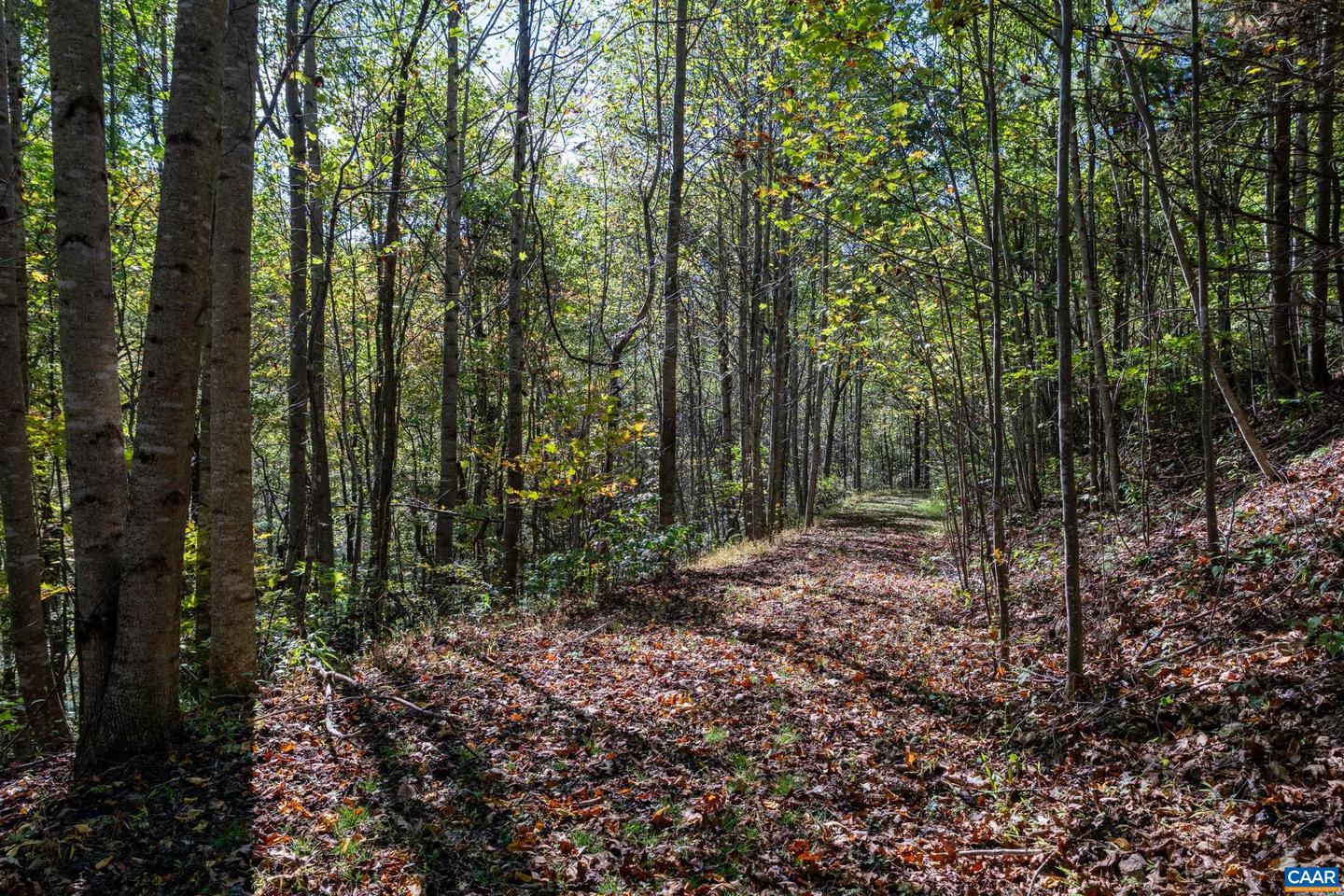 13630 CRABTREE FALLS HWY #5, TYRO, Virginia 22976, ,Land,For sale,13630 CRABTREE FALLS HWY #5,669735 MLS # 669735