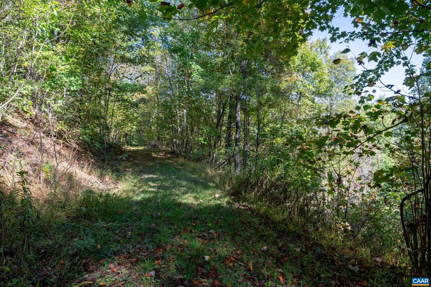 13630 CRABTREE FALLS HWY #5, TYRO, Virginia 22976, ,Land,For sale,13630 CRABTREE FALLS HWY #5,669735 MLS # 669735