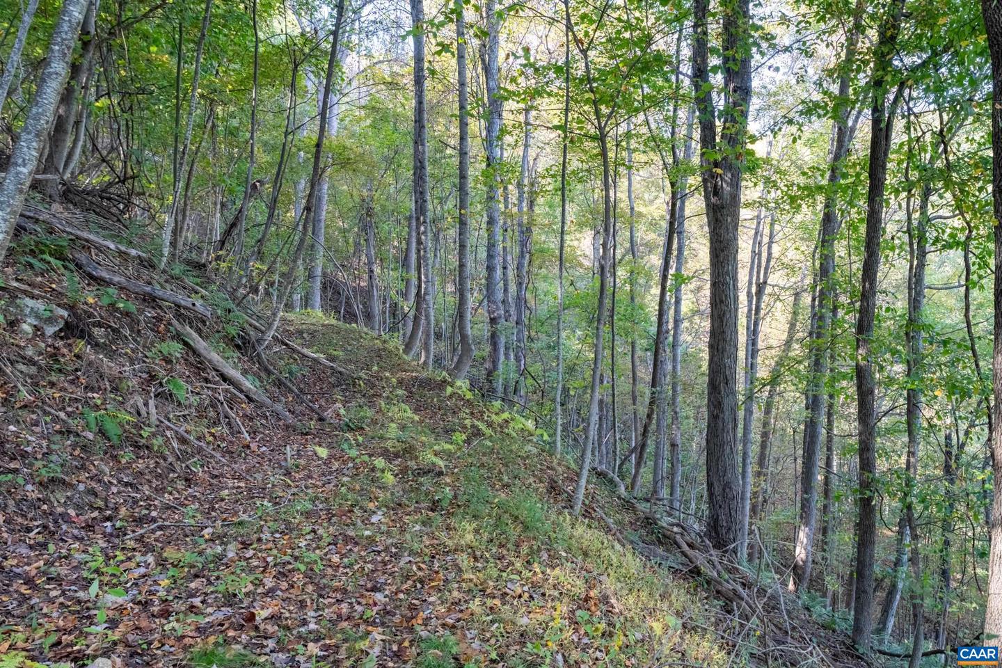13630 CRABTREE FALLS HWY #5, TYRO, Virginia 22976, ,Land,For sale,13630 CRABTREE FALLS HWY #5,669735 MLS # 669735