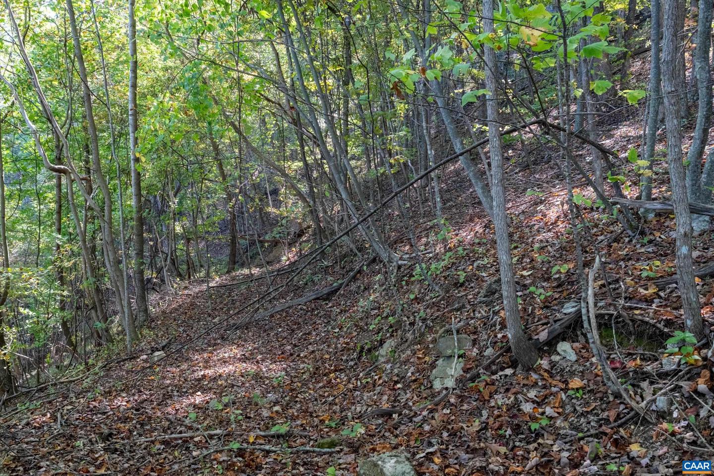 13630 CRABTREE FALLS HWY #5, TYRO, Virginia 22976, ,Land,For sale,13630 CRABTREE FALLS HWY #5,669735 MLS # 669735