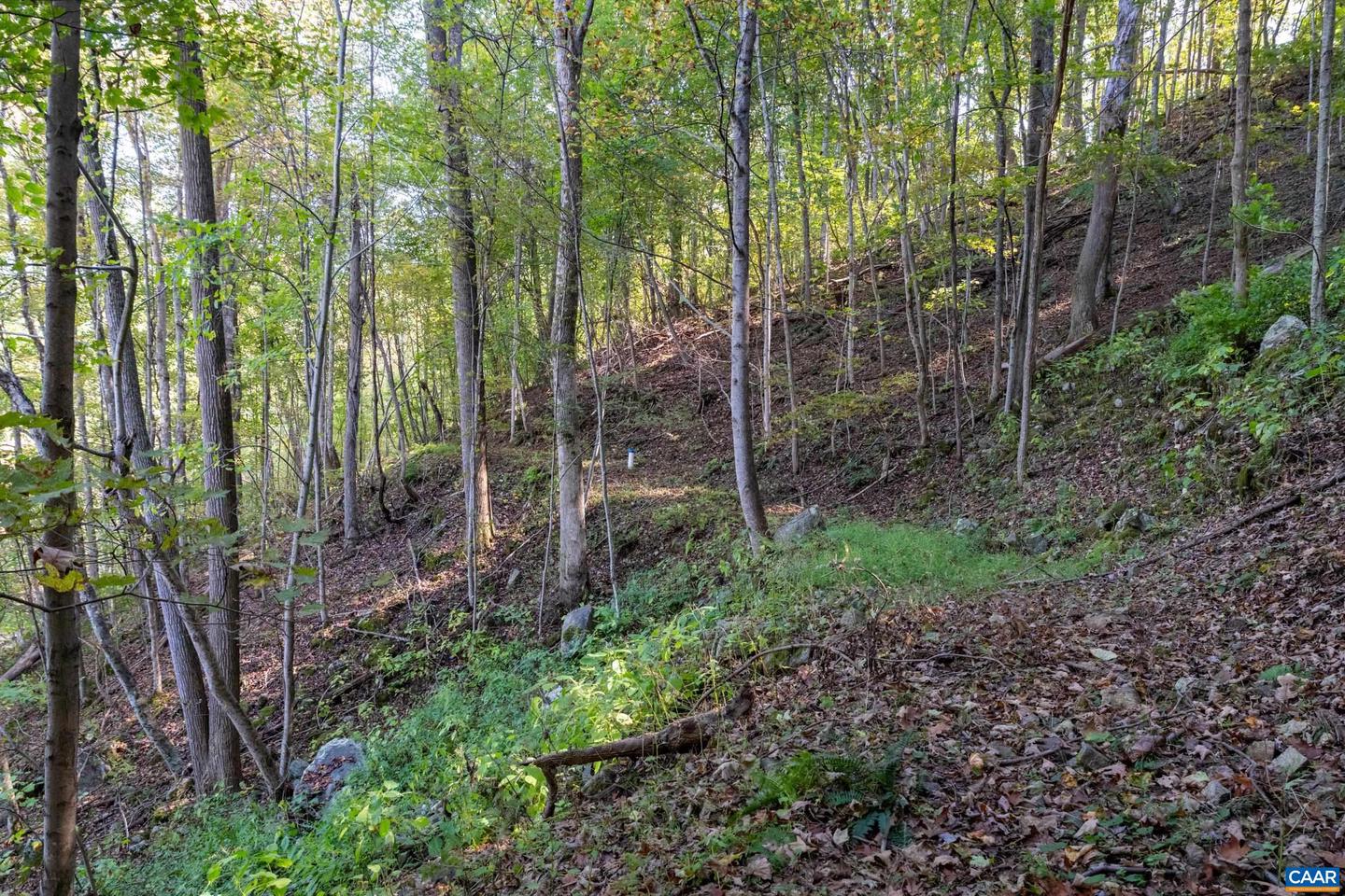 13630 CRABTREE FALLS HWY #5, TYRO, Virginia 22976, ,Land,For sale,13630 CRABTREE FALLS HWY #5,669735 MLS # 669735