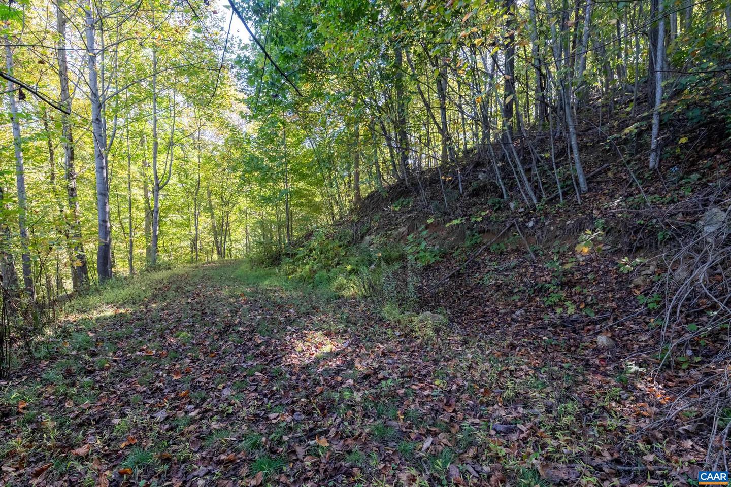13630 CRABTREE FALLS HWY #5, TYRO, Virginia 22976, ,Land,For sale,13630 CRABTREE FALLS HWY #5,669735 MLS # 669735