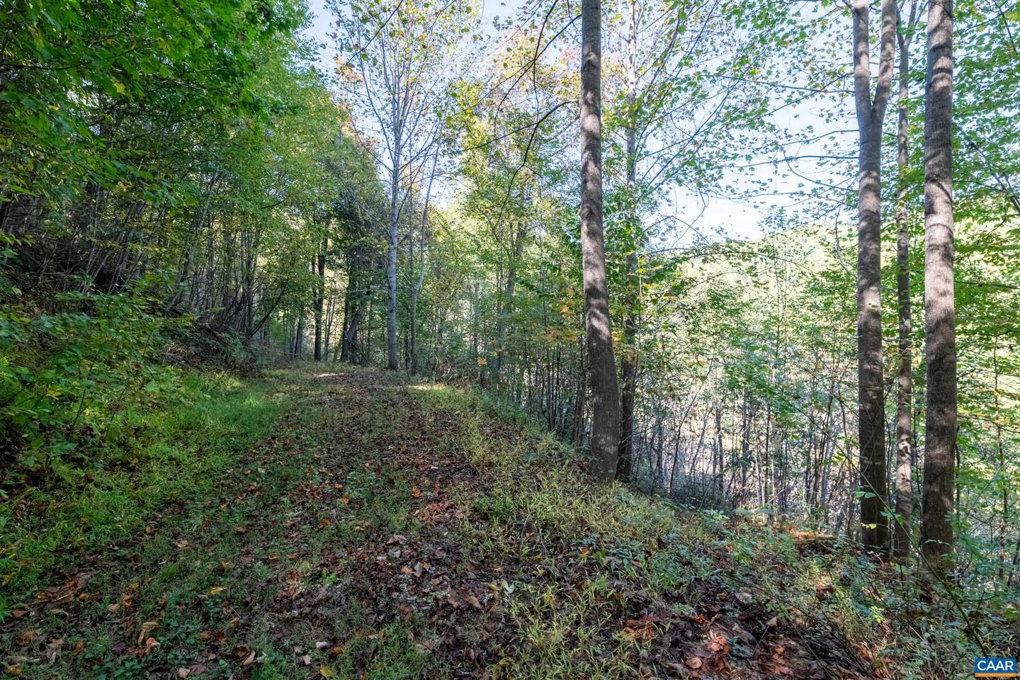 13630 CRABTREE FALLS HWY #5, TYRO, Virginia 22976, ,Land,For sale,13630 CRABTREE FALLS HWY #5,669735 MLS # 669735