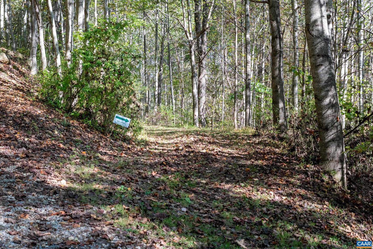 13630 CRABTREE FALLS HWY #5, TYRO, Virginia 22976, ,Land,For sale,13630 CRABTREE FALLS HWY #5,669735 MLS # 669735