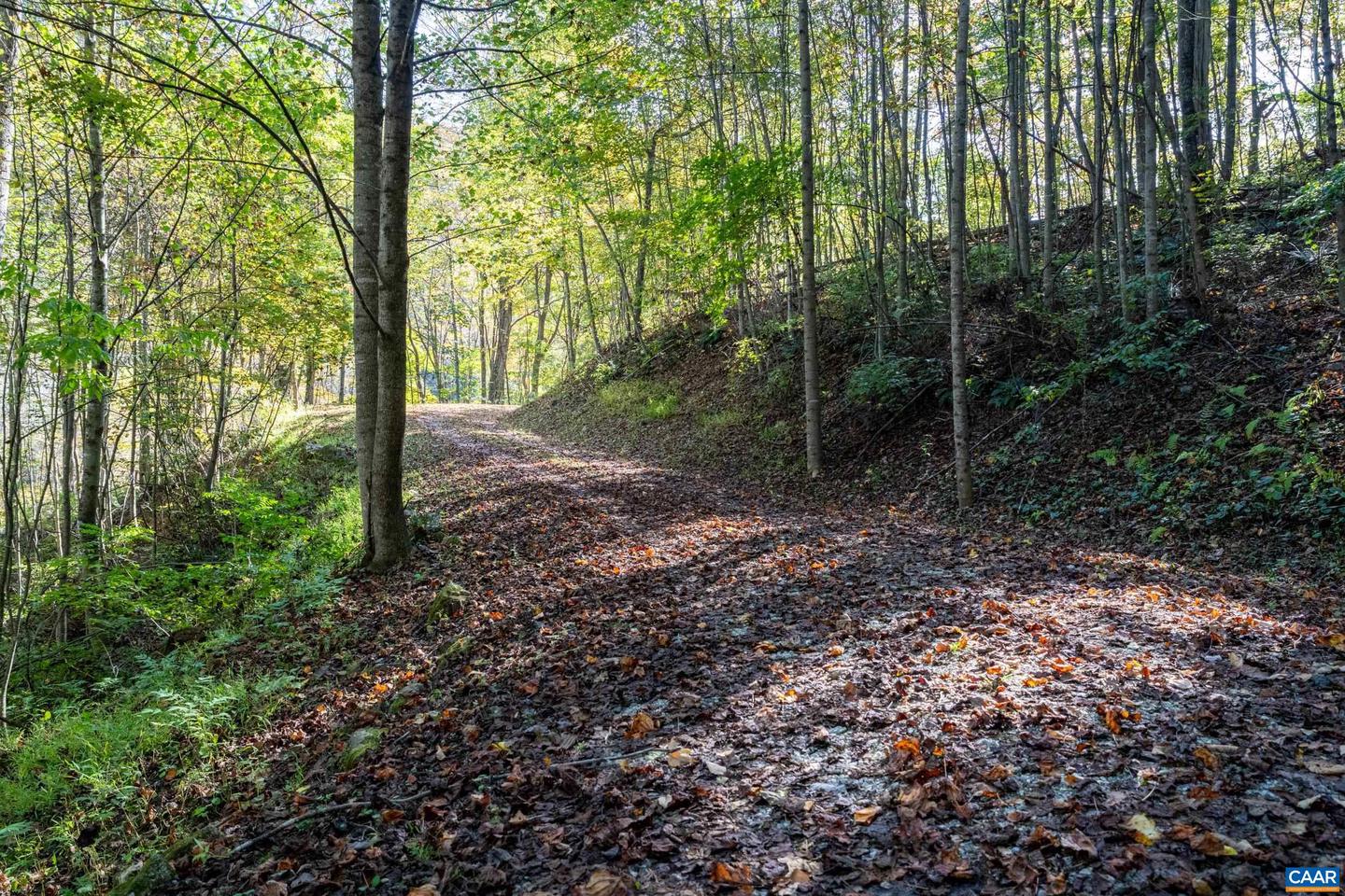 13630 CRABTREE FALLS HWY #5, TYRO, Virginia 22976, ,Land,For sale,13630 CRABTREE FALLS HWY #5,669735 MLS # 669735