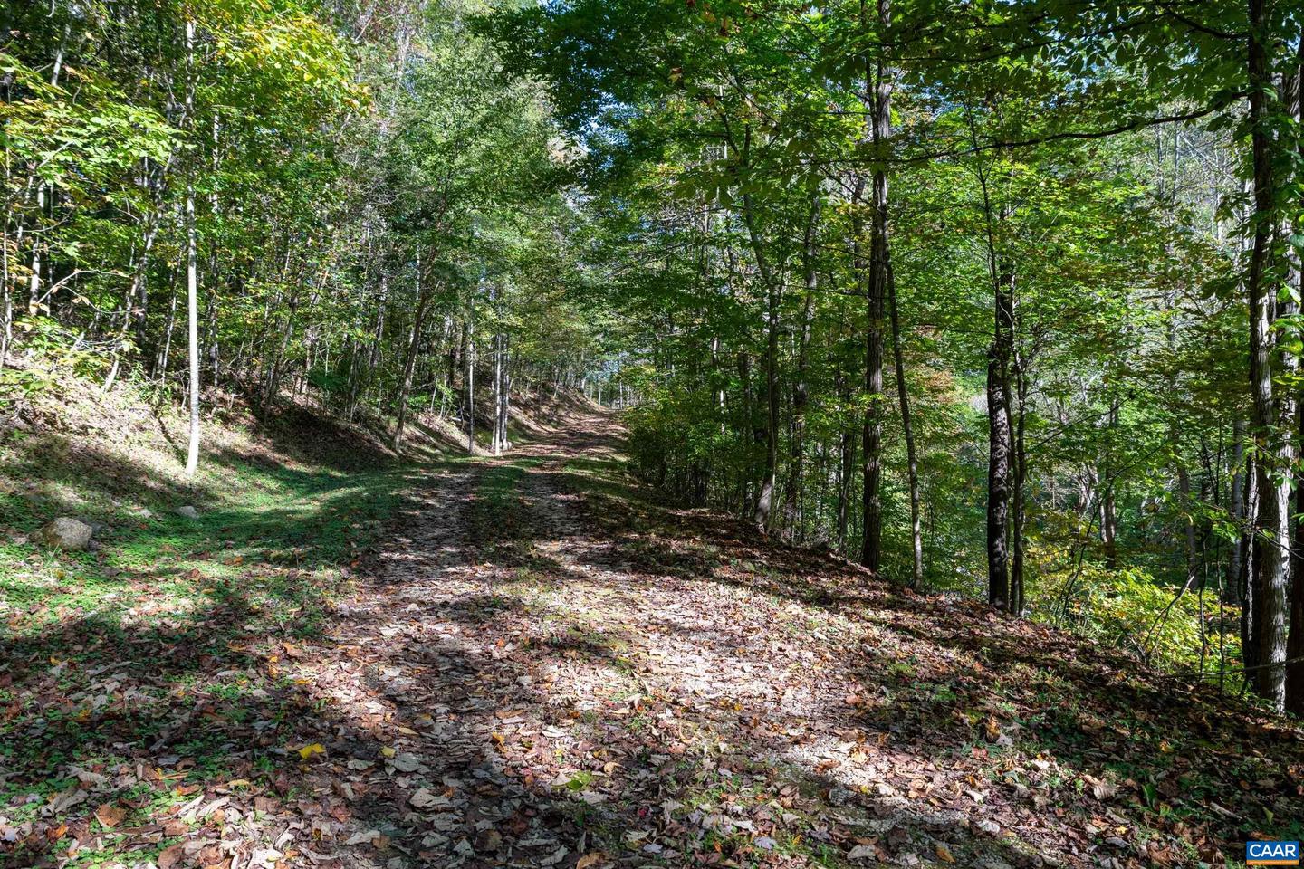 13630 CRABTREE FALLS HWY #5, TYRO, Virginia 22976, ,Land,For sale,13630 CRABTREE FALLS HWY #5,669735 MLS # 669735