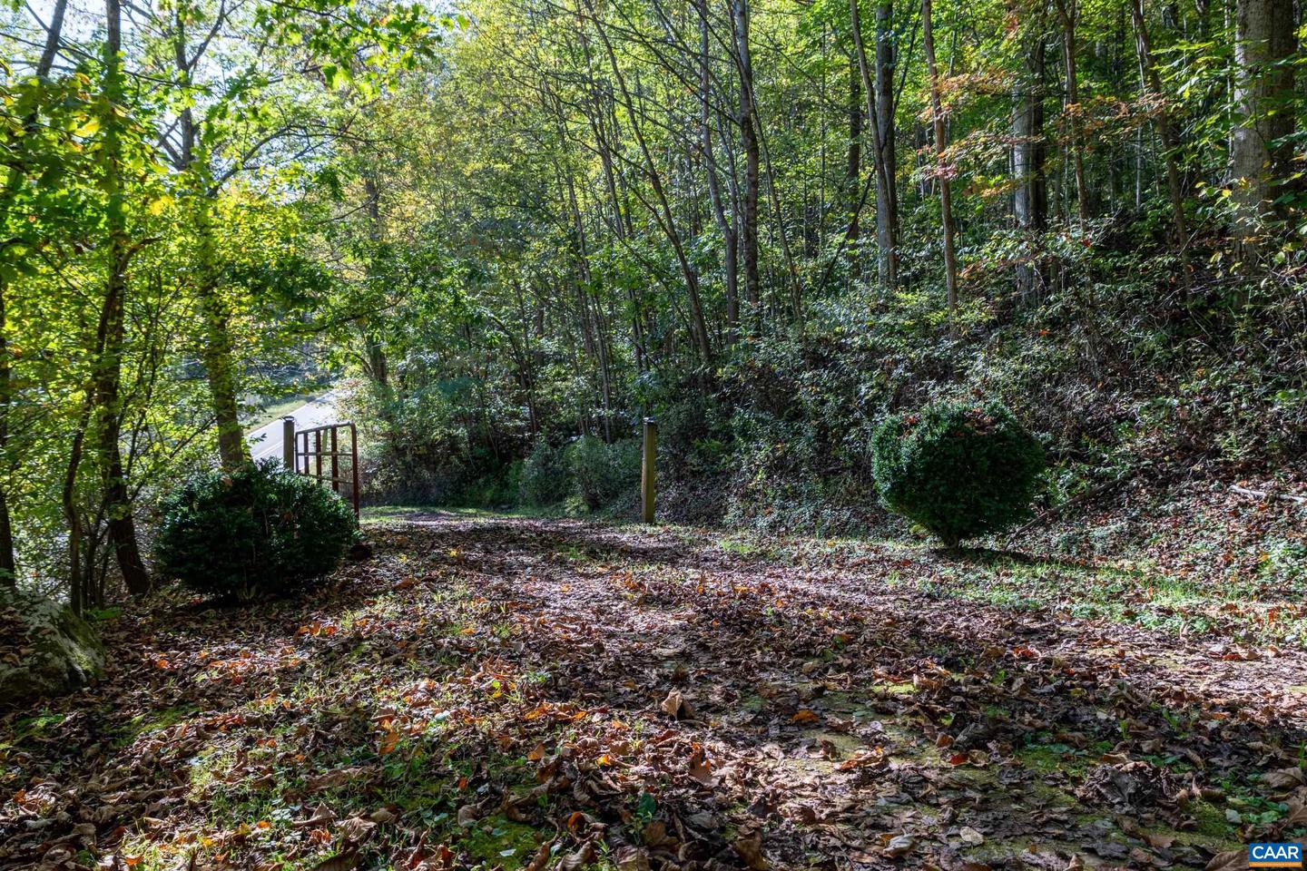 13630 CRABTREE FALLS HWY #5, TYRO, Virginia 22976, ,Land,For sale,13630 CRABTREE FALLS HWY #5,669735 MLS # 669735