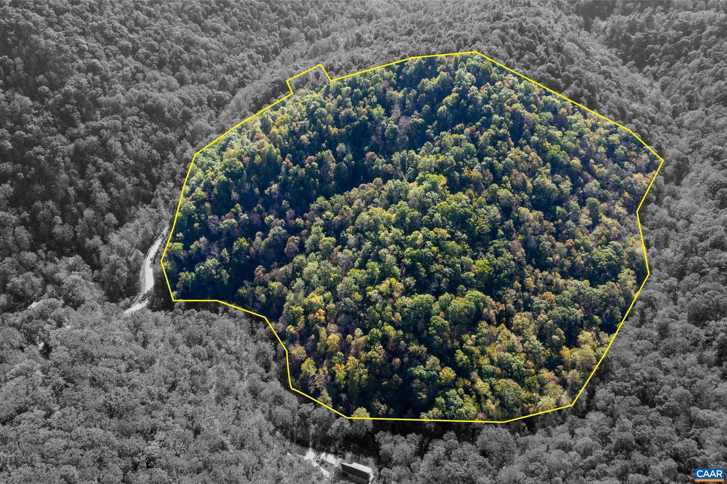 13630 CRABTREE FALLS HWY #5, TYRO, Virginia 22976, ,Land,For sale,13630 CRABTREE FALLS HWY #5,669735 MLS # 669735
