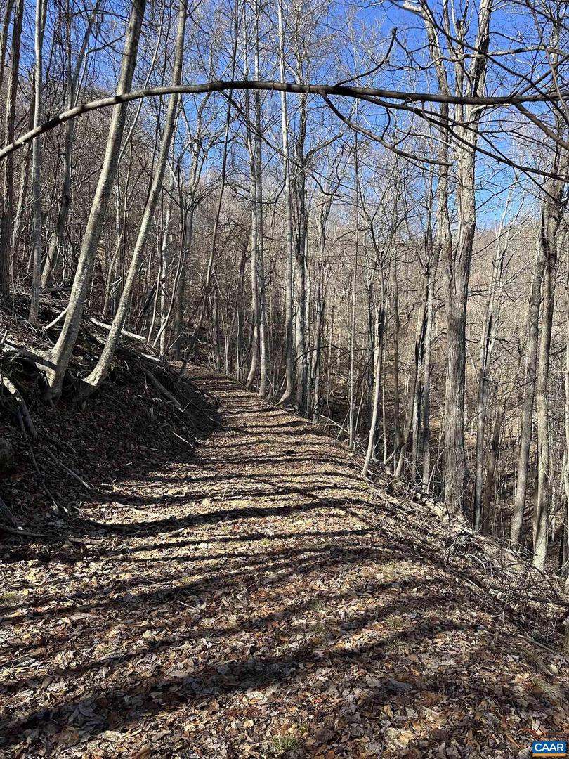 13630 CRABTREE FALLS HWY #5, TYRO, Virginia 22976, ,Land,For sale,13630 CRABTREE FALLS HWY #5,669735 MLS # 669735