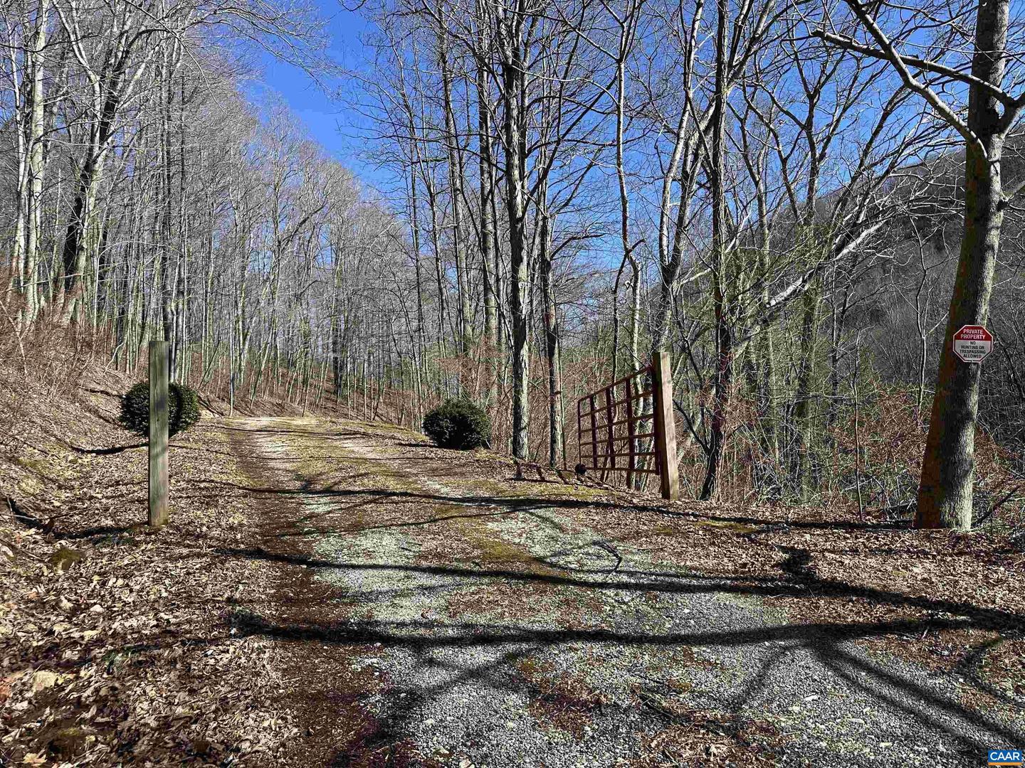 13630 CRABTREE FALLS HWY #5, TYRO, Virginia 22976, ,Land,For sale,13630 CRABTREE FALLS HWY #5,669735 MLS # 669735