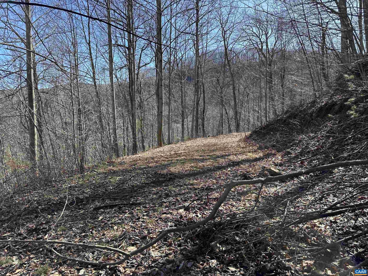 13630 CRABTREE FALLS HWY #5, TYRO, Virginia 22976, ,Land,For sale,13630 CRABTREE FALLS HWY #5,669735 MLS # 669735