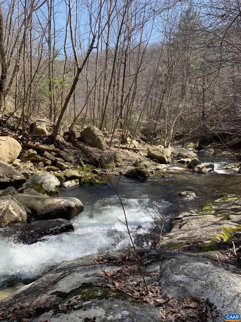 13630 CRABTREE FALLS HWY #5, TYRO, Virginia 22976, ,Land,For sale,13630 CRABTREE FALLS HWY #5,669735 MLS # 669735