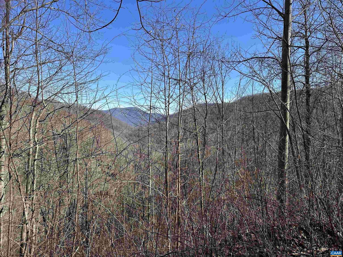 13630 CRABTREE FALLS HWY #5, TYRO, Virginia 22976, ,Land,For sale,13630 CRABTREE FALLS HWY #5,669735 MLS # 669735
