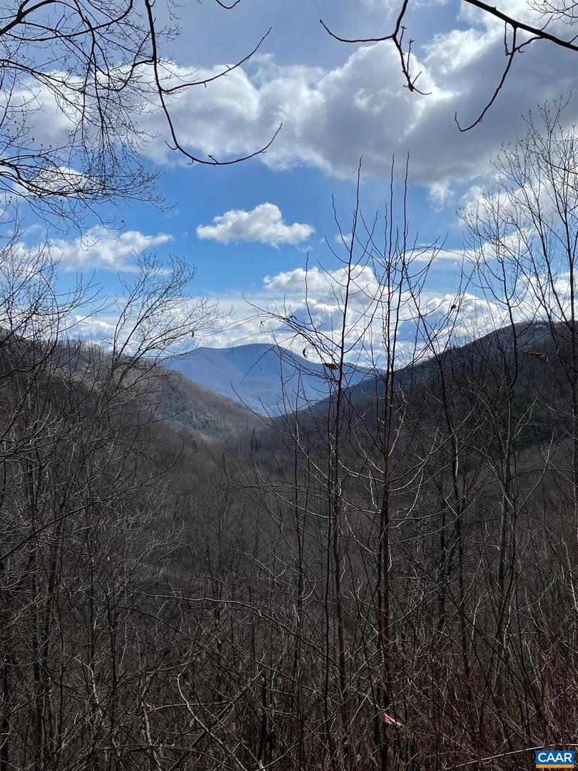 13630 CRABTREE FALLS HWY #5, TYRO, Virginia 22976, ,Land,For sale,13630 CRABTREE FALLS HWY #5,669735 MLS # 669735