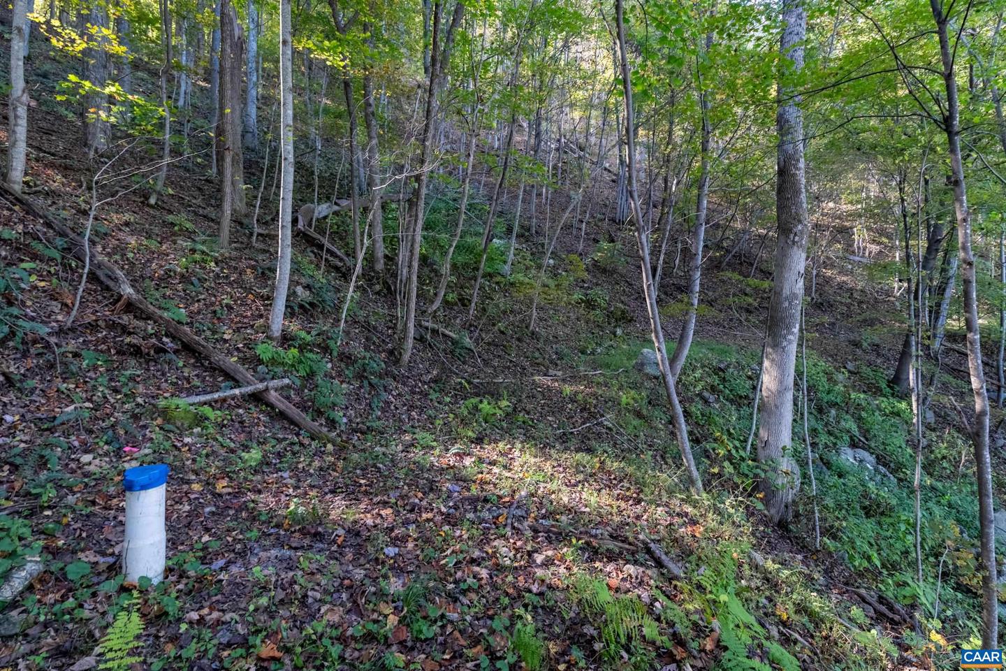 13630 CRABTREE FALLS HWY #5, TYRO, Virginia 22976, ,Land,For sale,13630 CRABTREE FALLS HWY #5,669735 MLS # 669735