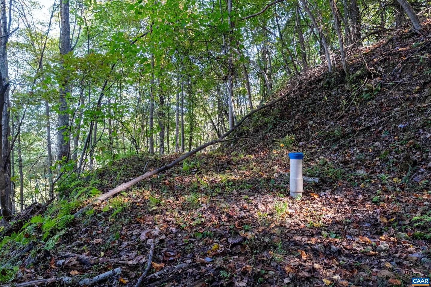 13630 CRABTREE FALLS HWY #5, TYRO, Virginia 22976, ,Land,For sale,13630 CRABTREE FALLS HWY #5,669735 MLS # 669735