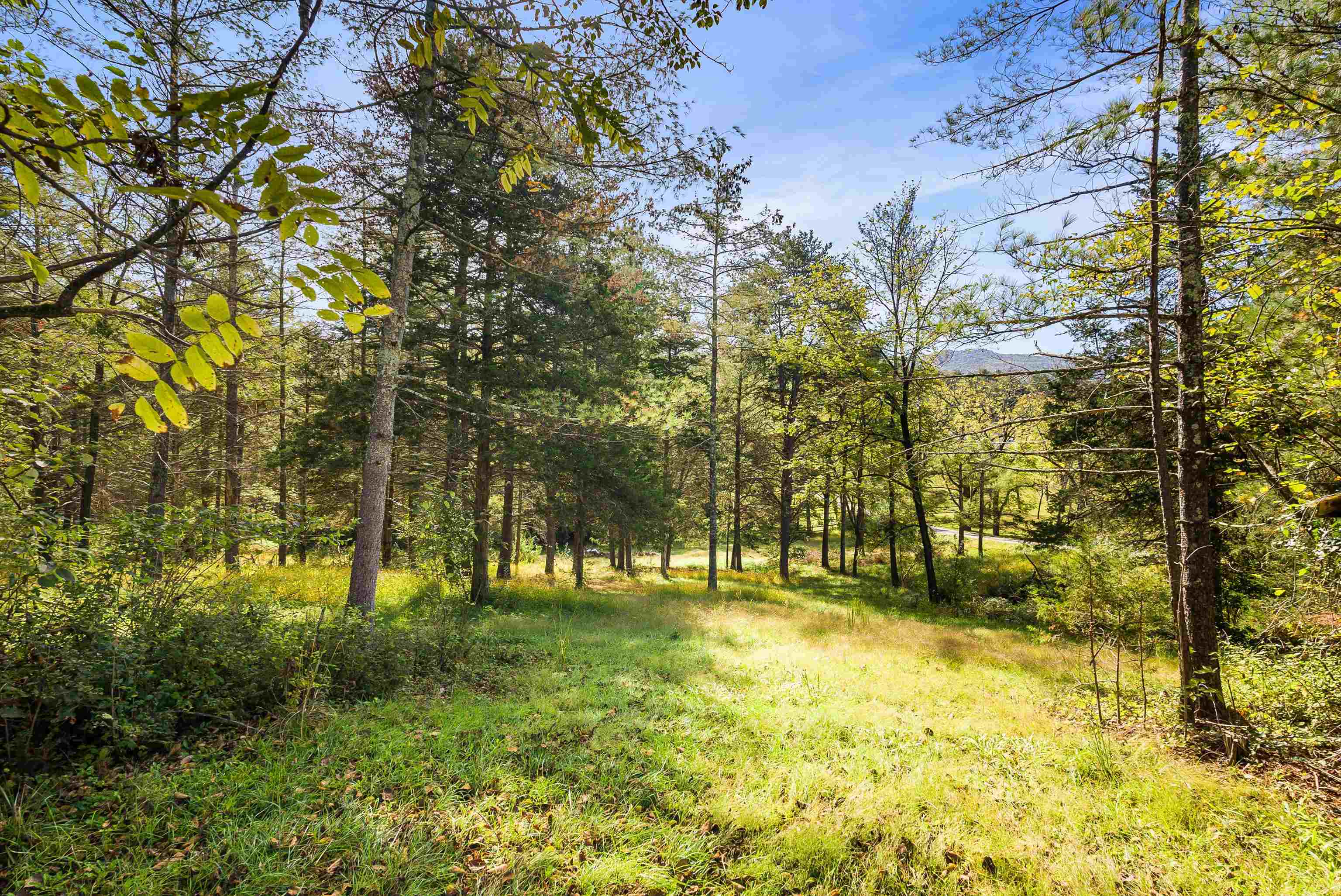 25 RINKER GATE, FORT VALLEY, Virginia 22652, 4 Bedrooms Bedrooms, ,2 BathroomsBathrooms,Residential,25 RINKER GATE,669746 MLS # 669746