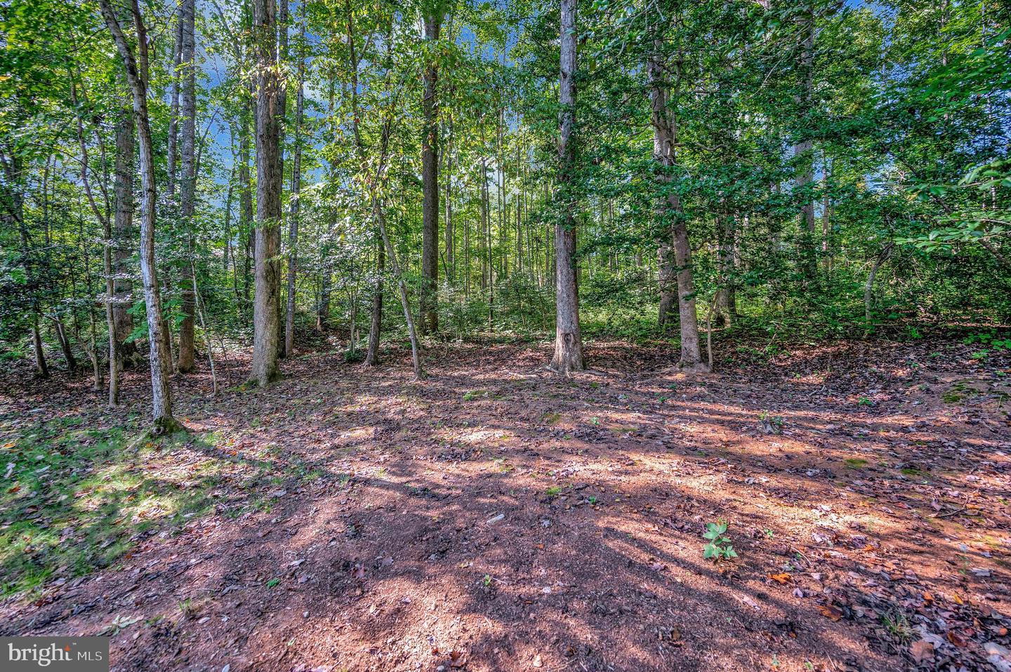 216 BATTLEFIELD RD, LOCUST GROVE, Virginia 22508, 4 Bedrooms Bedrooms, 11 Rooms Rooms,2 BathroomsBathrooms,Residential,For sale,216 BATTLEFIELD RD,VAOR2012244 MLS # VAOR2012244