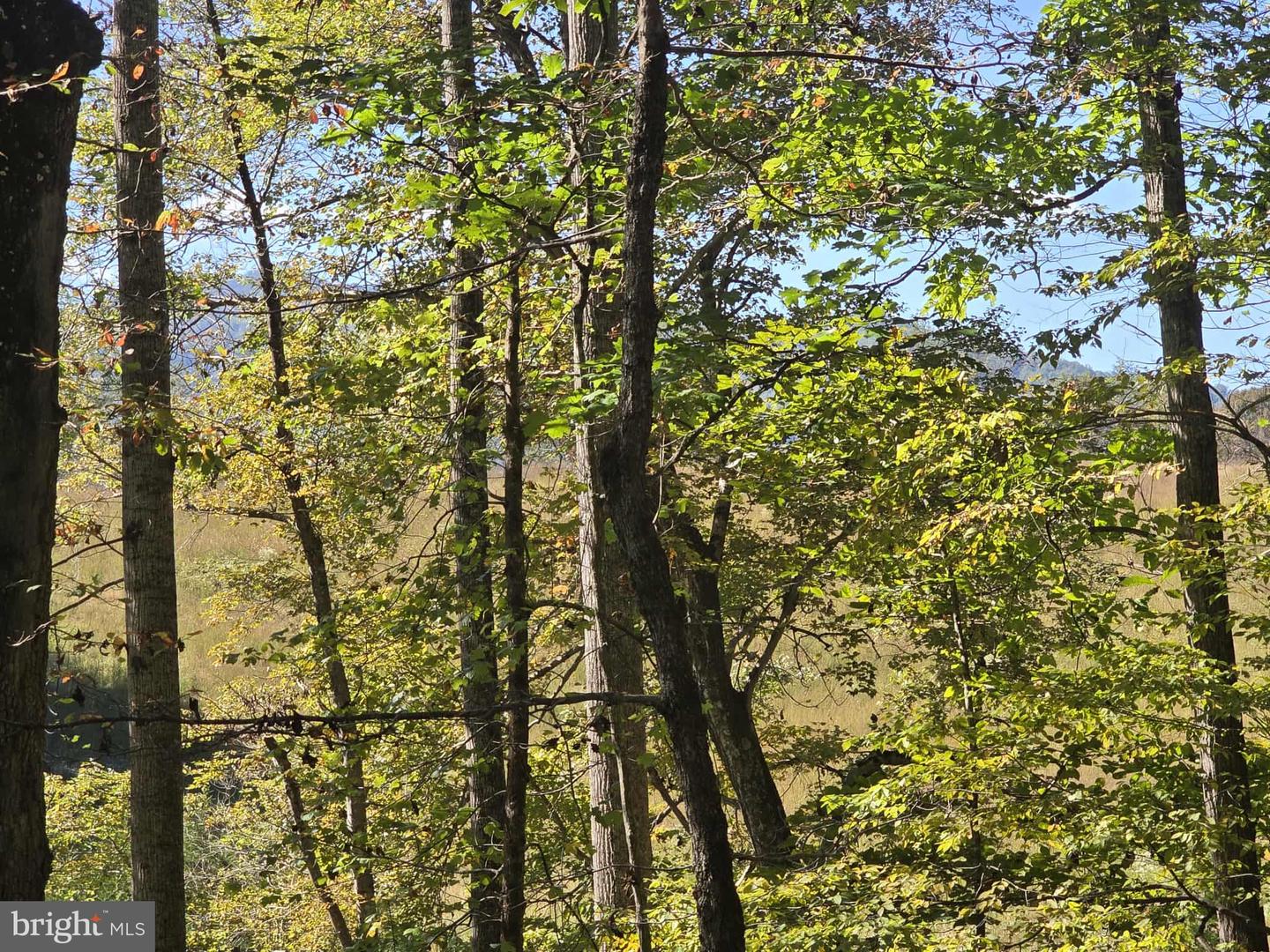 HURT HOLLOW RD, BANCO, Virginia 22711, ,Land,For sale,HURT HOLLOW RD,VAMA2002482 MLS # VAMA2002482