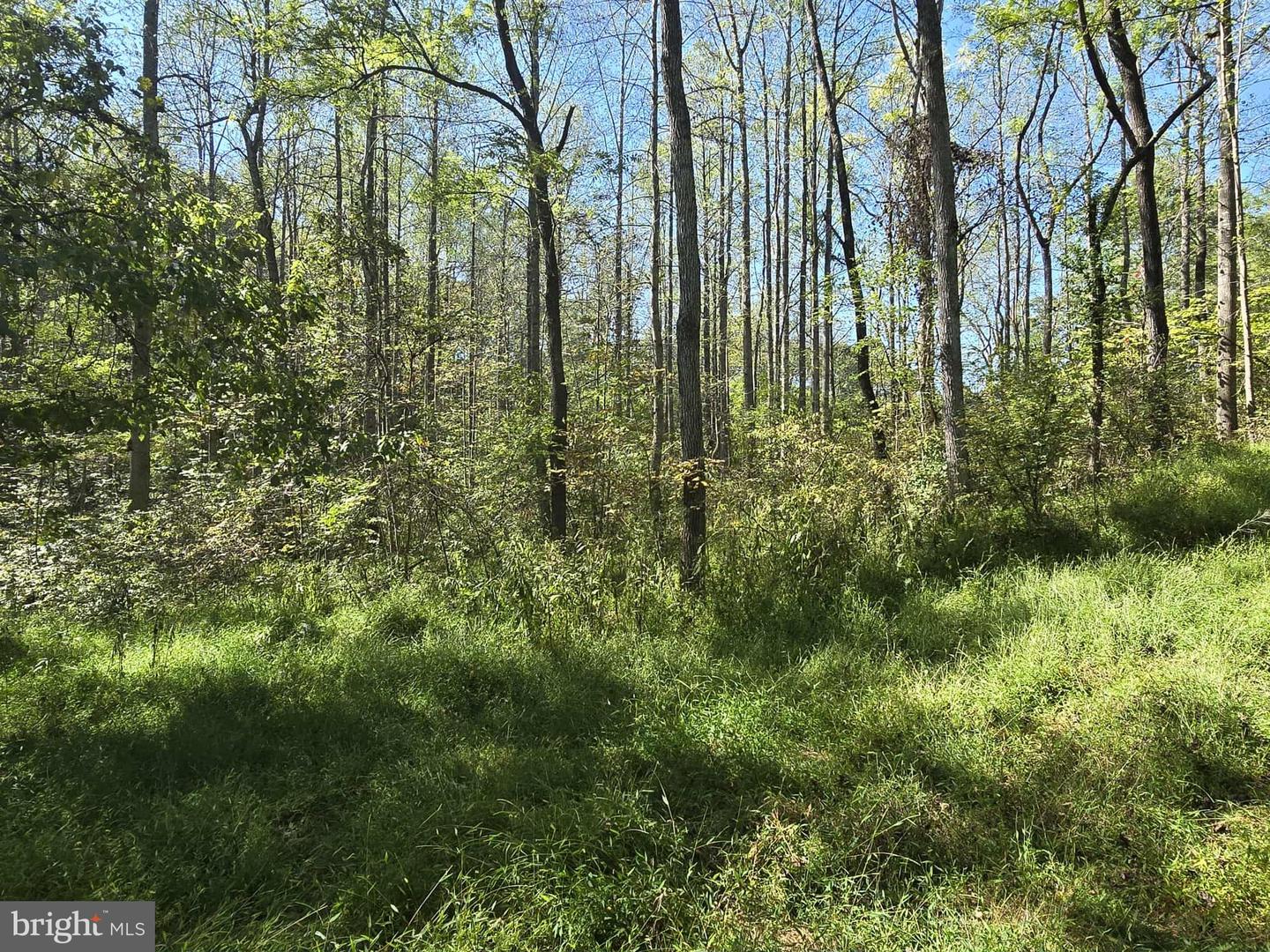 HURT HOLLOW RD, BANCO, Virginia 22711, ,Land,For sale,HURT HOLLOW RD,VAMA2002482 MLS # VAMA2002482