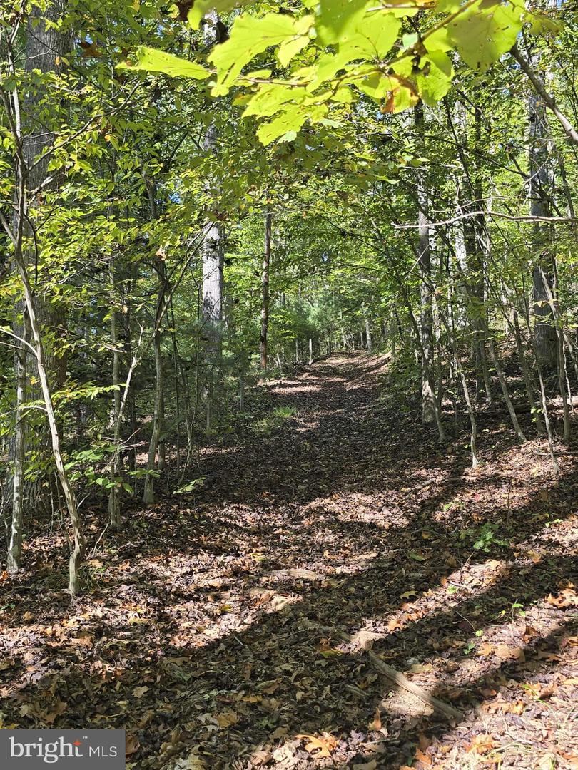 HURT HOLLOW RD, BANCO, Virginia 22711, ,Land,For sale,HURT HOLLOW RD,VAMA2002482 MLS # VAMA2002482