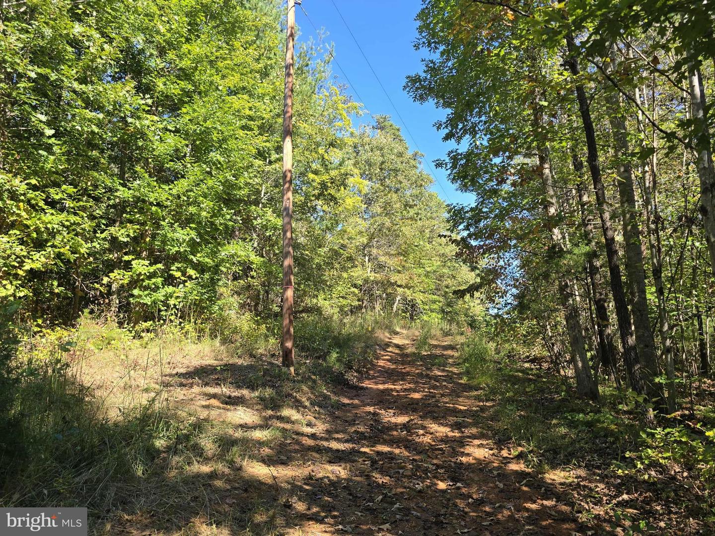 HURT HOLLOW RD, BANCO, Virginia 22711, ,Land,For sale,HURT HOLLOW RD,VAMA2002482 MLS # VAMA2002482