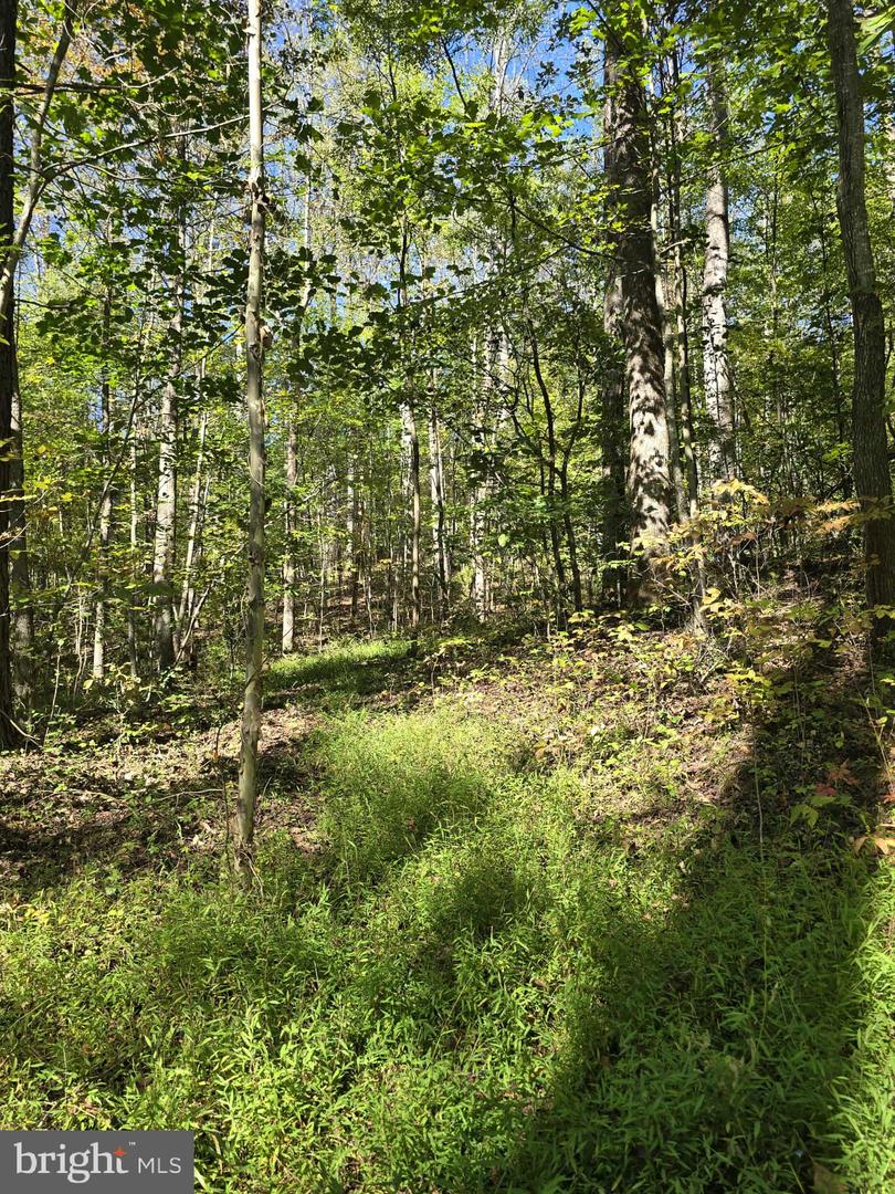 HURT HOLLOW RD, BANCO, Virginia 22711, ,Land,For sale,HURT HOLLOW RD,VAMA2002482 MLS # VAMA2002482