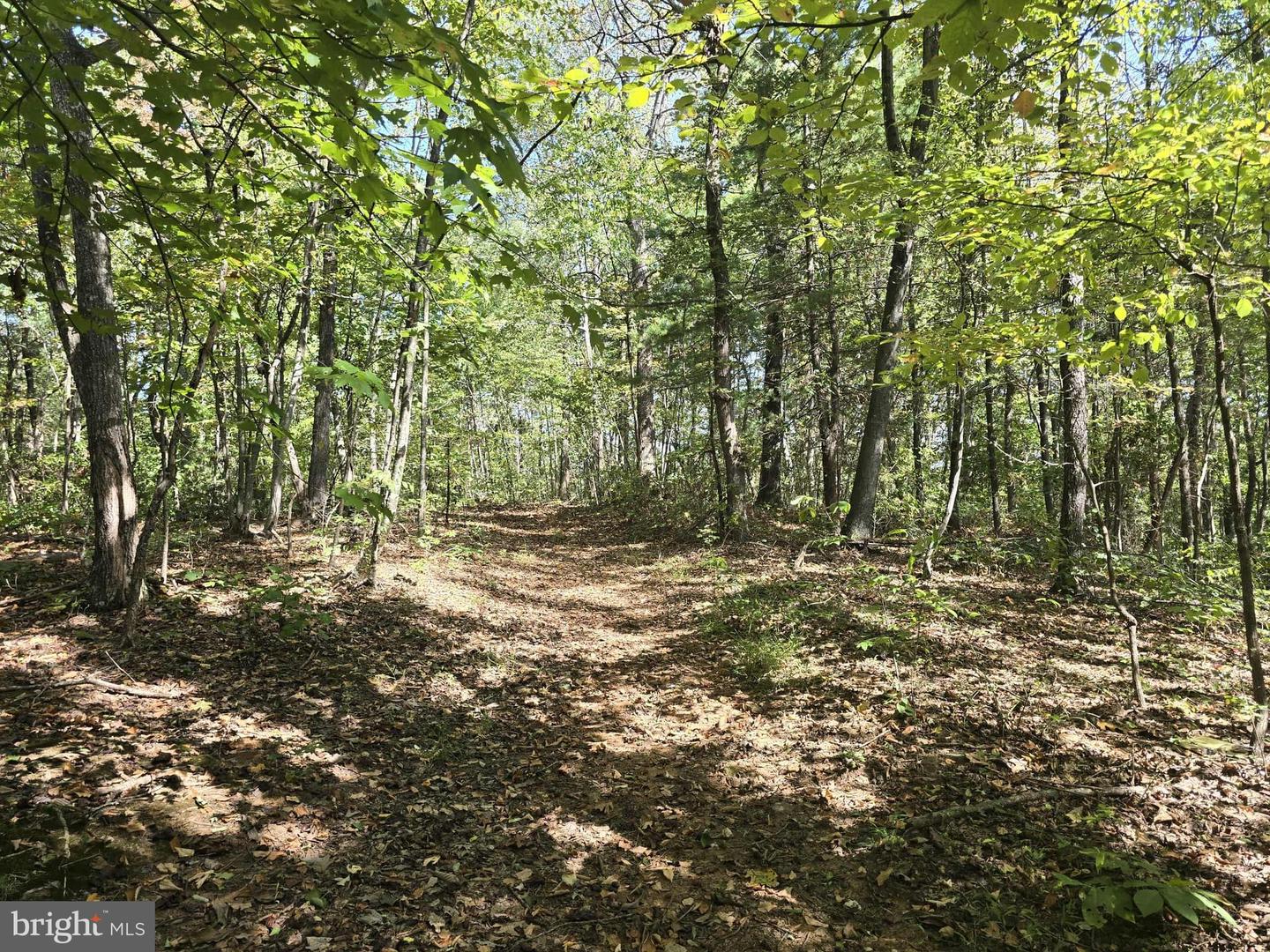 HURT HOLLOW RD, BANCO, Virginia 22711, ,Land,For sale,HURT HOLLOW RD,VAMA2002482 MLS # VAMA2002482