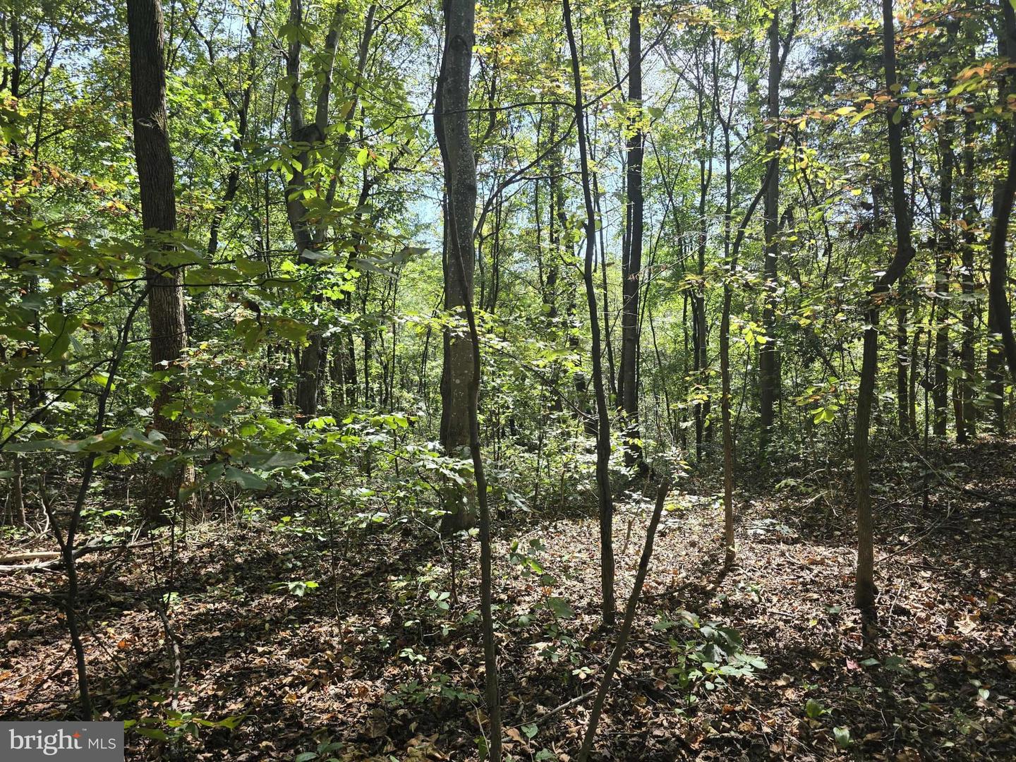 HURT HOLLOW RD, BANCO, Virginia 22711, ,Land,For sale,HURT HOLLOW RD,VAMA2002482 MLS # VAMA2002482