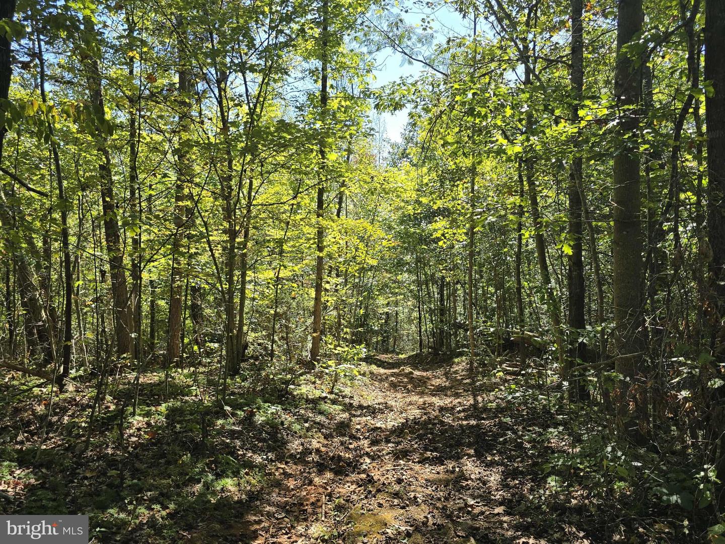 HURT HOLLOW RD, BANCO, Virginia 22711, ,Land,For sale,HURT HOLLOW RD,VAMA2002482 MLS # VAMA2002482