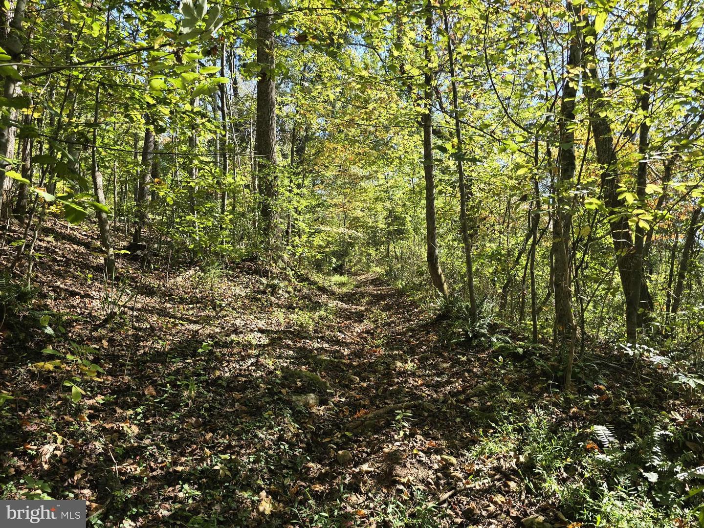 HURT HOLLOW RD, BANCO, Virginia 22711, ,Land,For sale,HURT HOLLOW RD,VAMA2002482 MLS # VAMA2002482