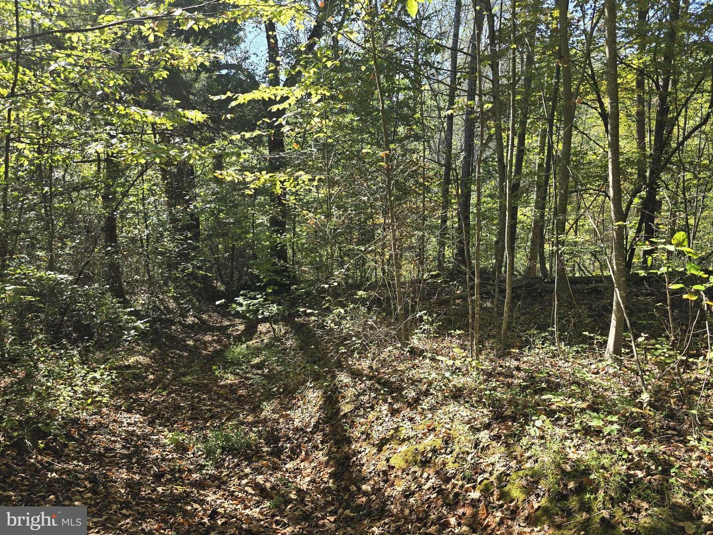 HURT HOLLOW RD, BANCO, Virginia 22711, ,Land,For sale,HURT HOLLOW RD,VAMA2002482 MLS # VAMA2002482