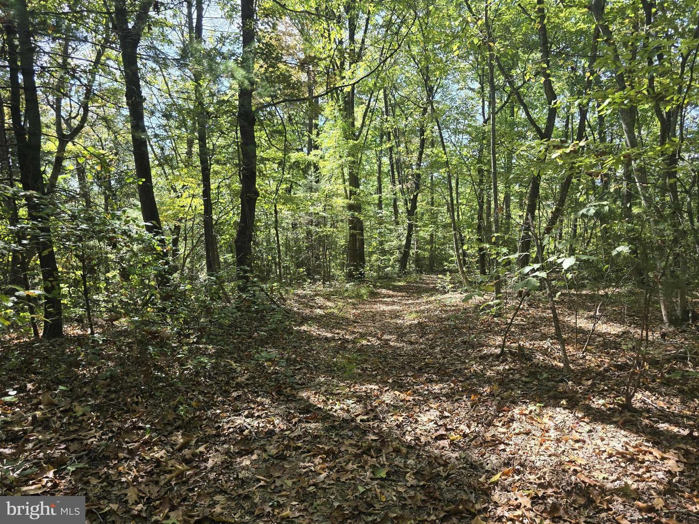 HURT HOLLOW RD, BANCO, Virginia 22711, ,Land,For sale,HURT HOLLOW RD,VAMA2002482 MLS # VAMA2002482