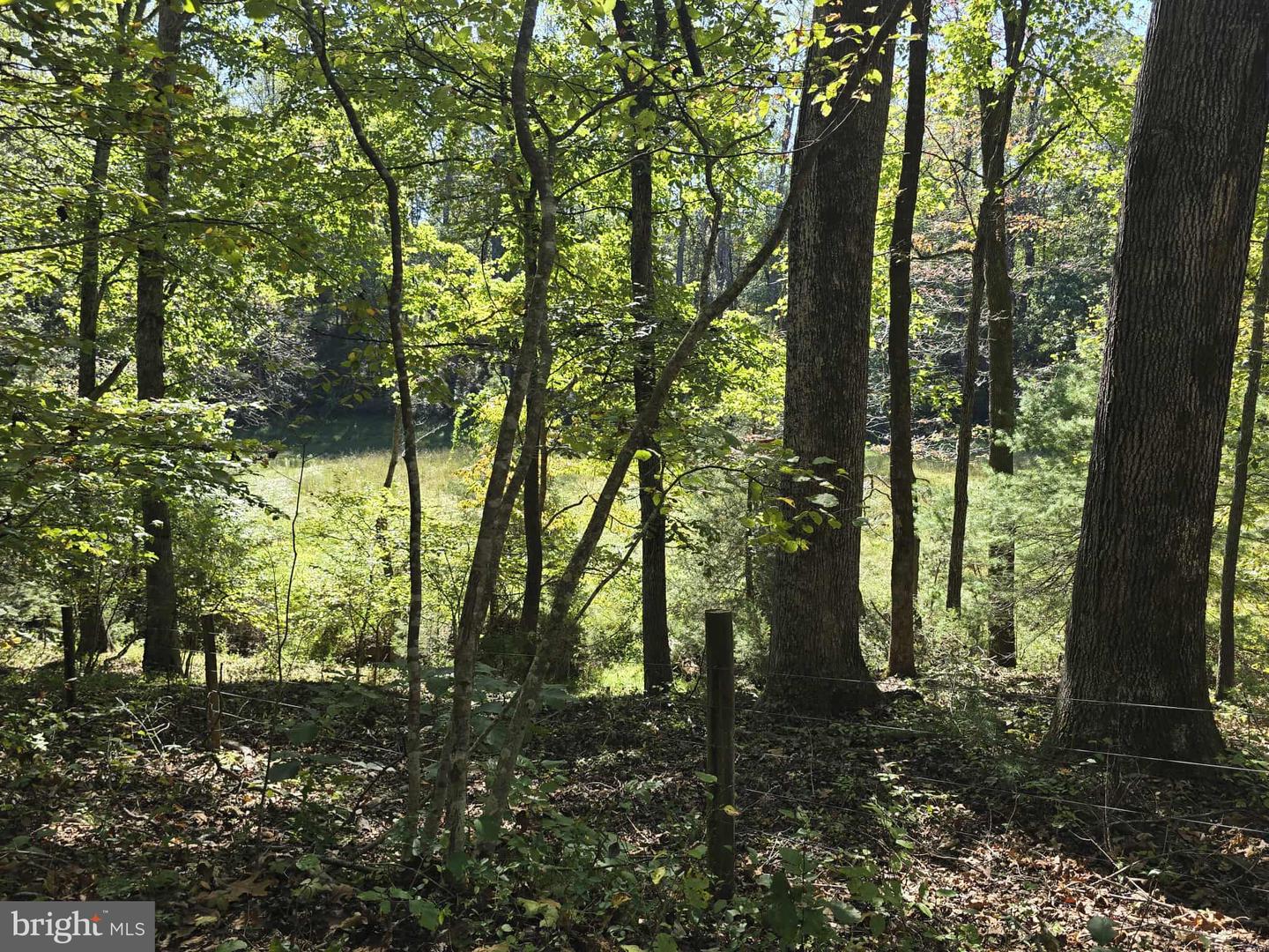 HURT HOLLOW RD, BANCO, Virginia 22711, ,Land,For sale,HURT HOLLOW RD,VAMA2002482 MLS # VAMA2002482
