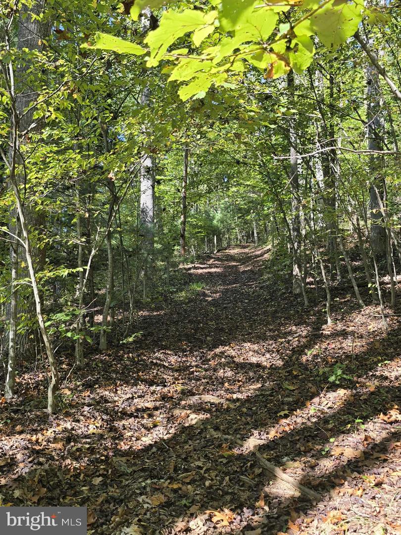HURT HOLLOW RD, BANCO, Virginia 22711, ,Land,For sale,HURT HOLLOW RD,VAMA2002482 MLS # VAMA2002482