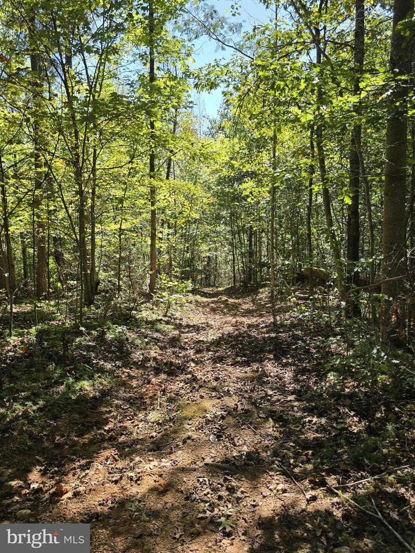 HURT HOLLOW RD, BANCO, Virginia 22711, ,Land,For sale,HURT HOLLOW RD,VAMA2002482 MLS # VAMA2002482