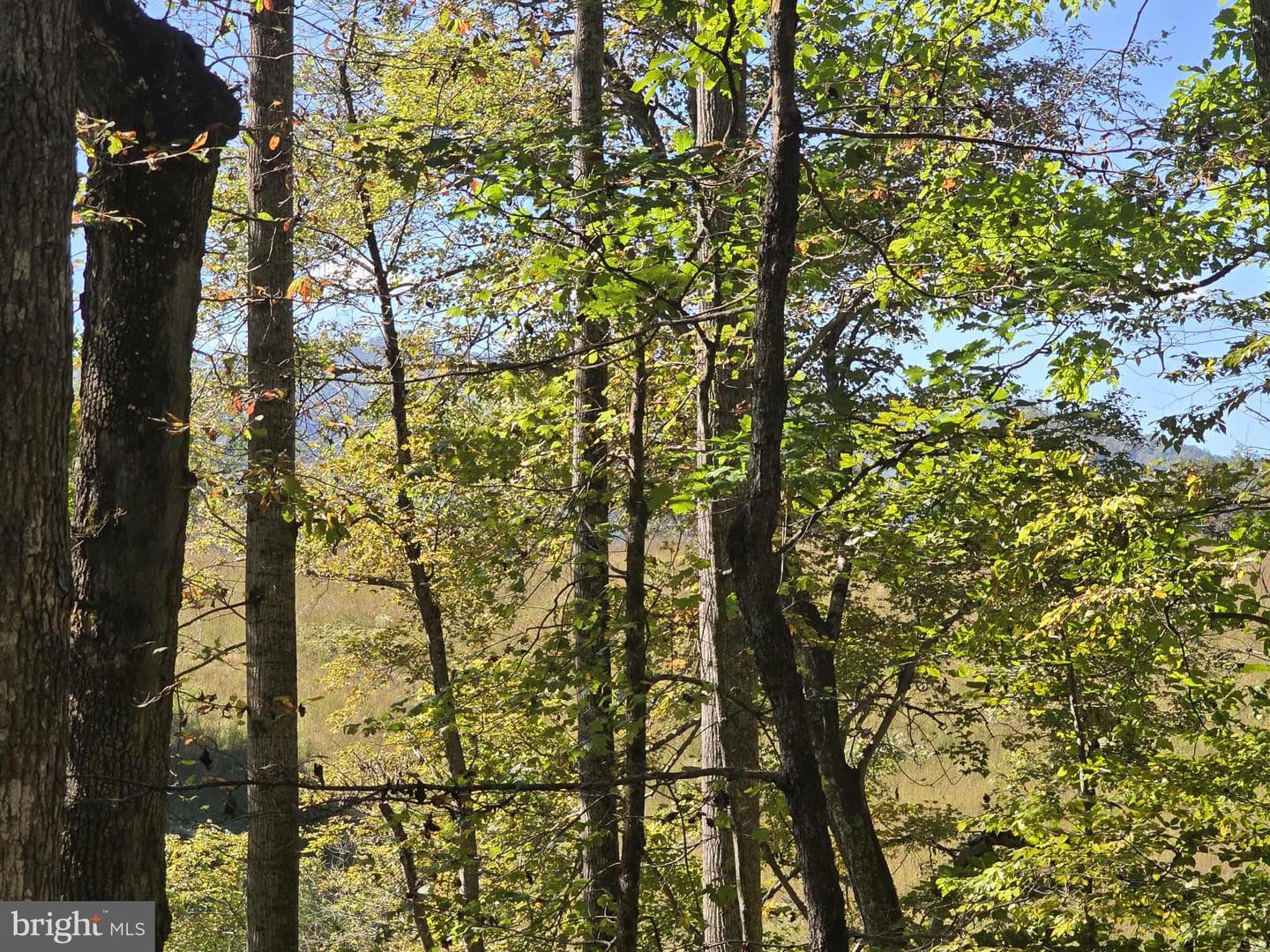 HURT HOLLOW RD, BANCO, Virginia 22711, ,Land,For sale,HURT HOLLOW RD,VAMA2002482 MLS # VAMA2002482